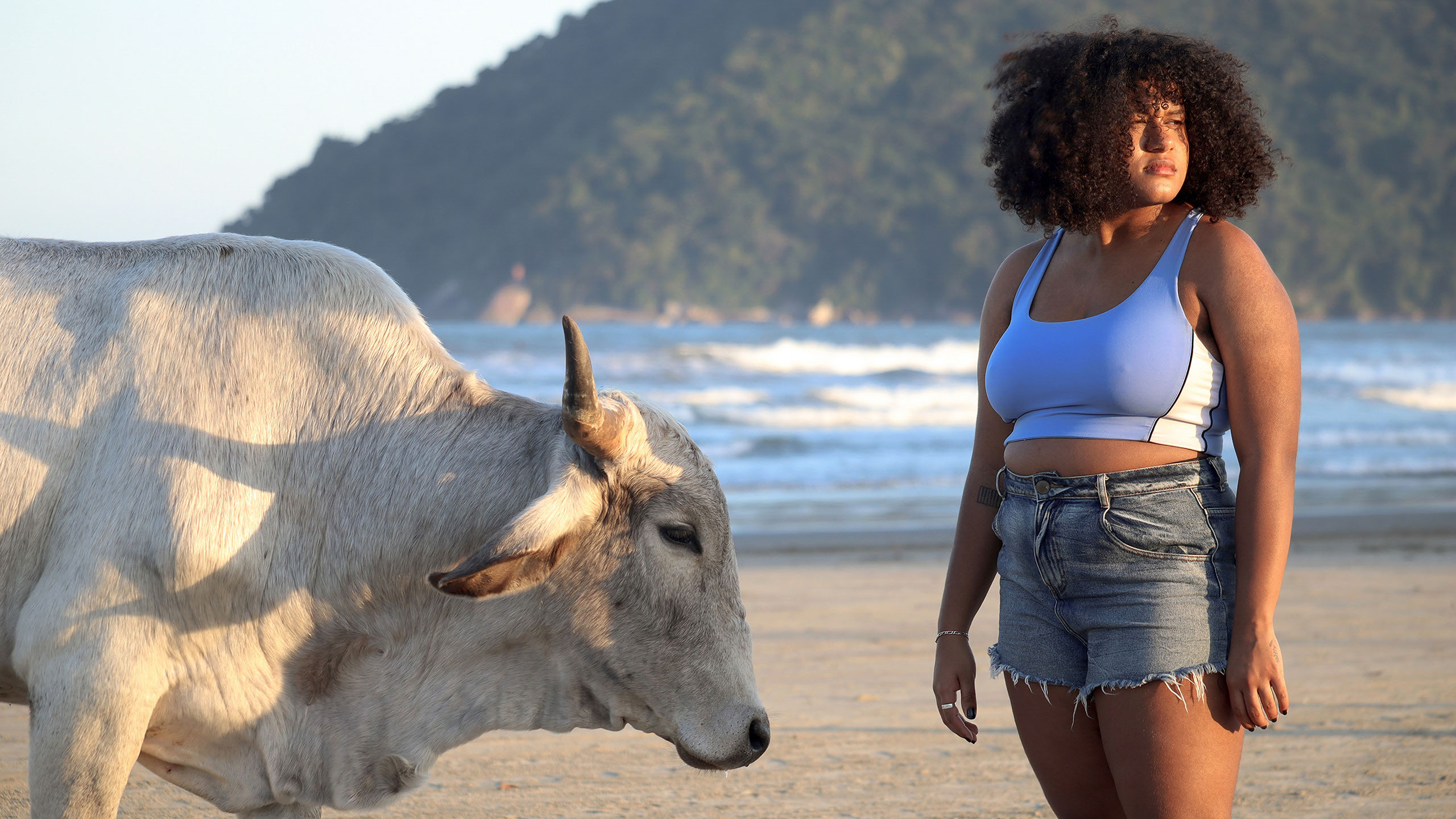 A still from 'Boi de Conchas (The Shell Covered Ox)' 5 Takeaways from Sundance Shorts