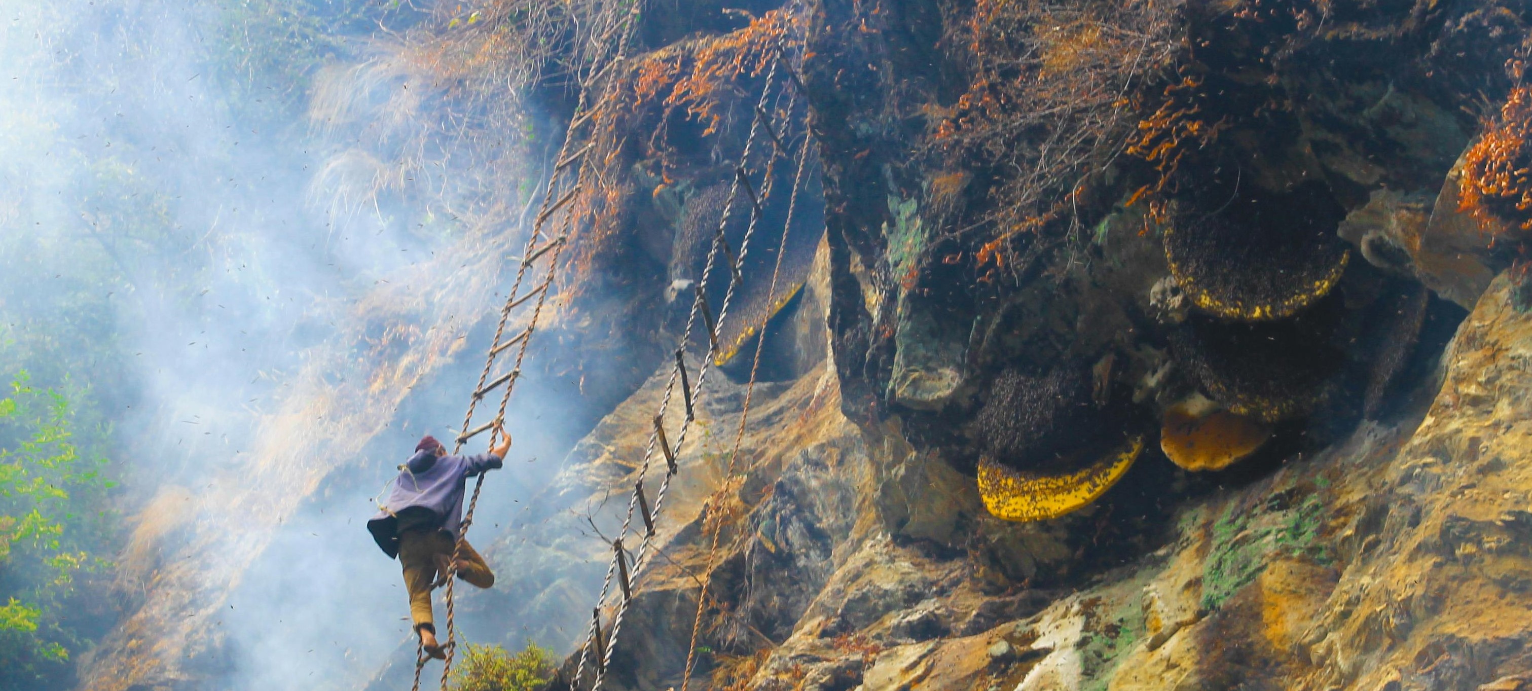Our Big Break Was Exactly That... - man climbing mountain wall on rickety ladder